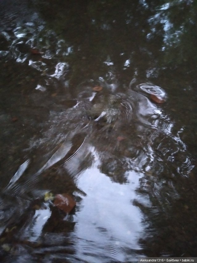 Пошли мы погулять с Марусей вечерком☁️