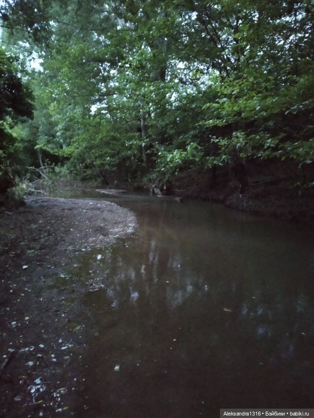 Пошли мы погулять с Марусей вечерком☁️