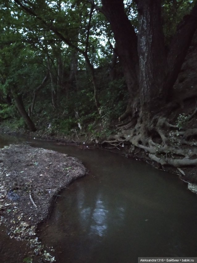 Пошли мы погулять с Марусей вечерком☁️