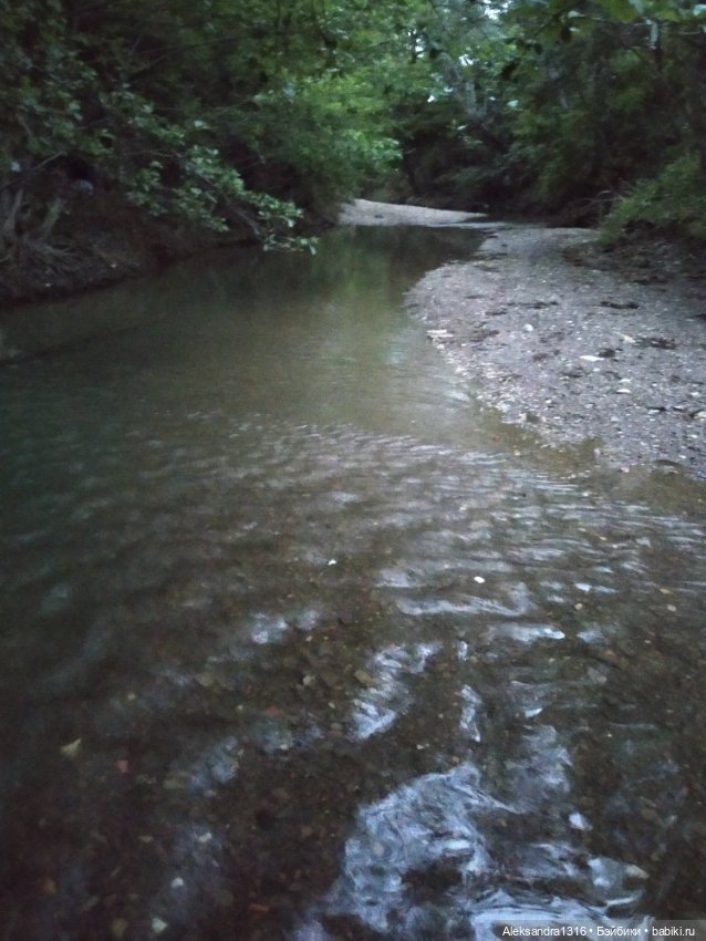 Пошли мы погулять с Марусей вечерком☁️