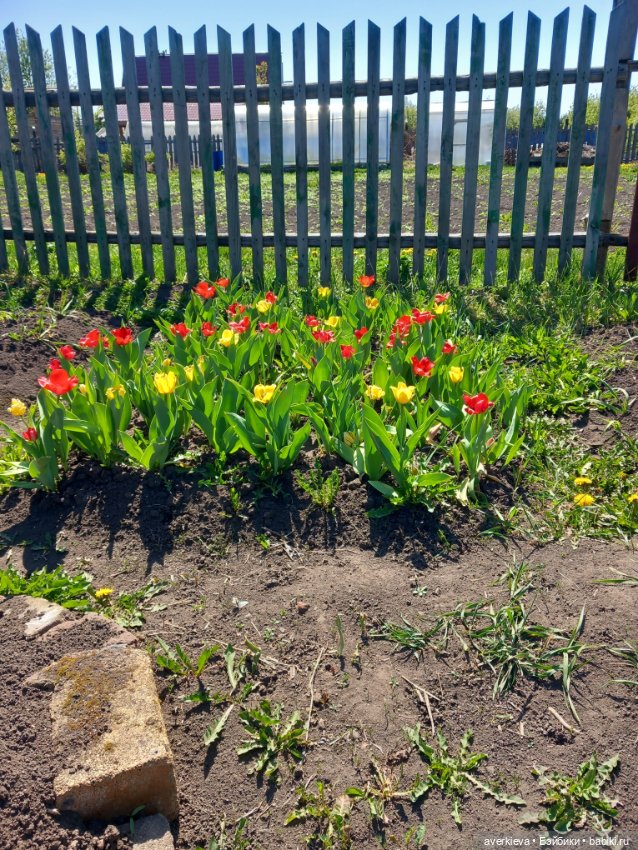 С любимыми не расставайтесь (фото 9)