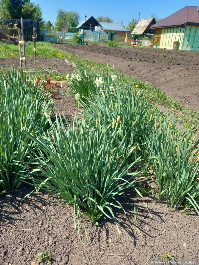 С любимыми не расставайтесь (фото 10)