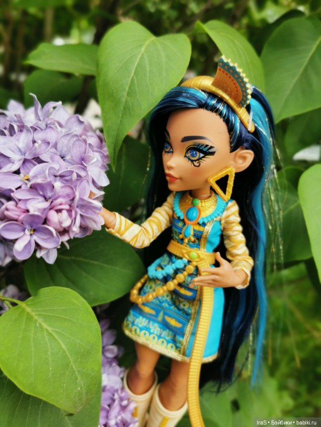 Прогулка с Клео — Куклы Monster High и Ever After High: G1 (фото 5)