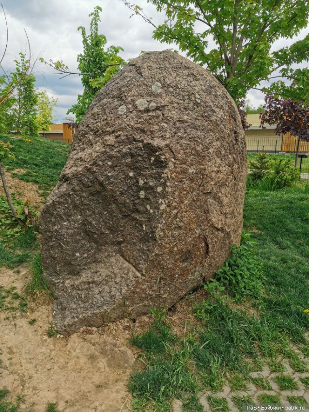 Прогулка с Клео — Куклы Monster High и Ever After High: G1 (фото 8)