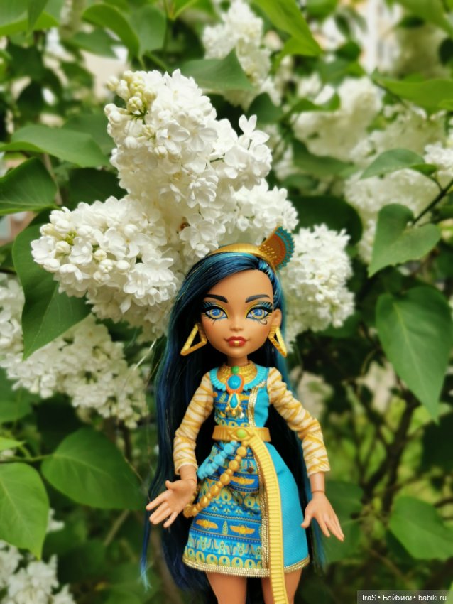 Прогулка с Клео — Куклы Monster High и Ever After High: G1 (фото 2)