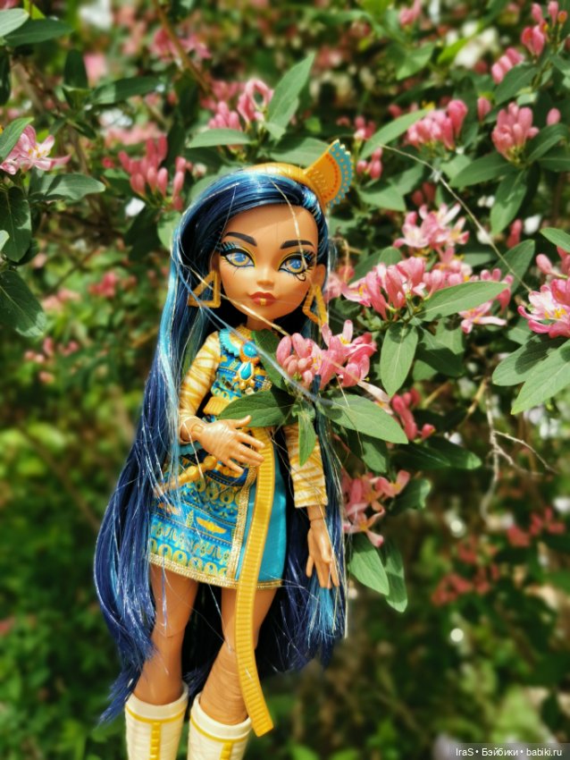 Прогулка с Клео — Куклы Monster High и Ever After High: G1 (фото 6)