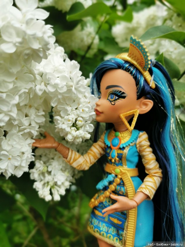 Прогулка с Клео — Куклы Monster High и Ever After High: G1 (фото 3)