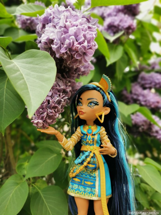 Прогулка с Клео — Куклы Monster High и Ever After High: G1 (фото 4)