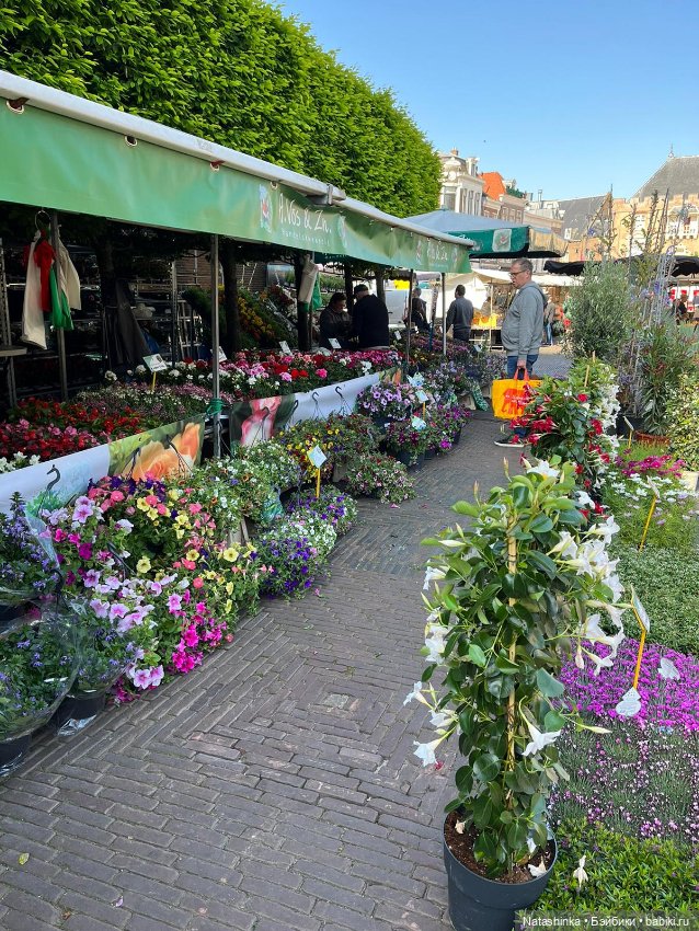 Fashion Dolls 511 — Болталка и разговоры обо всем: жизнь