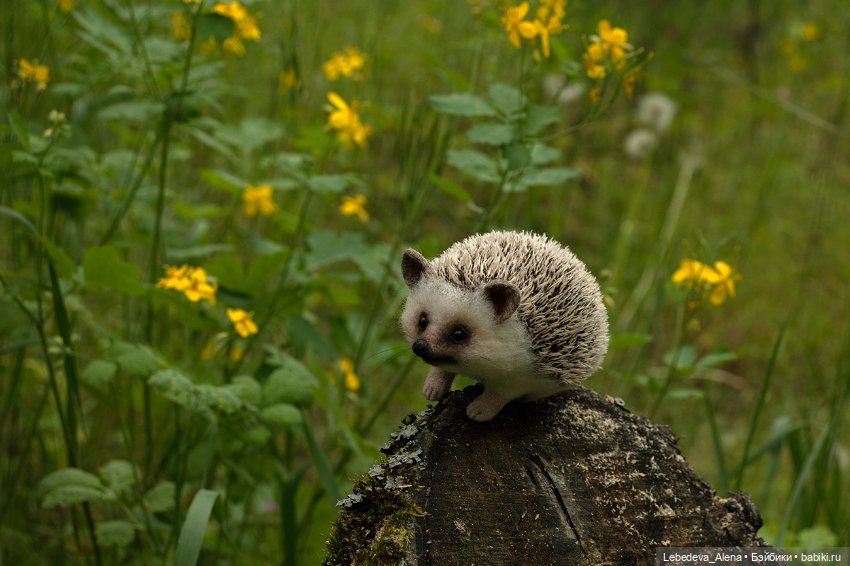Весна и ежик — Домашние фото авторских игрушек: Тедди