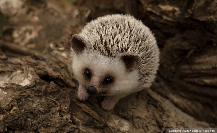 Весна и ежик — Домашние фото авторских игрушек: Тедди (фото 3)