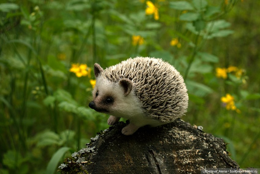 Весна и ежик — Домашние фото авторских игрушек: Тедди