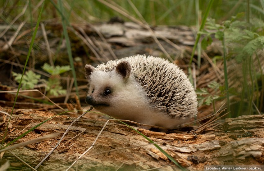 Весна и ежик — Домашние фото авторских игрушек: Тедди (фото 5)