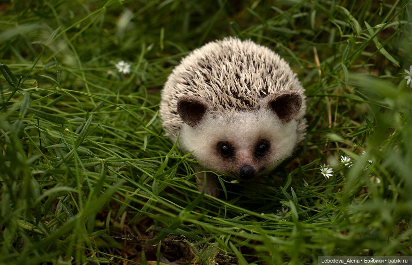 Весна и ежик — Домашние фото авторских игрушек: Тедди (фото 7)