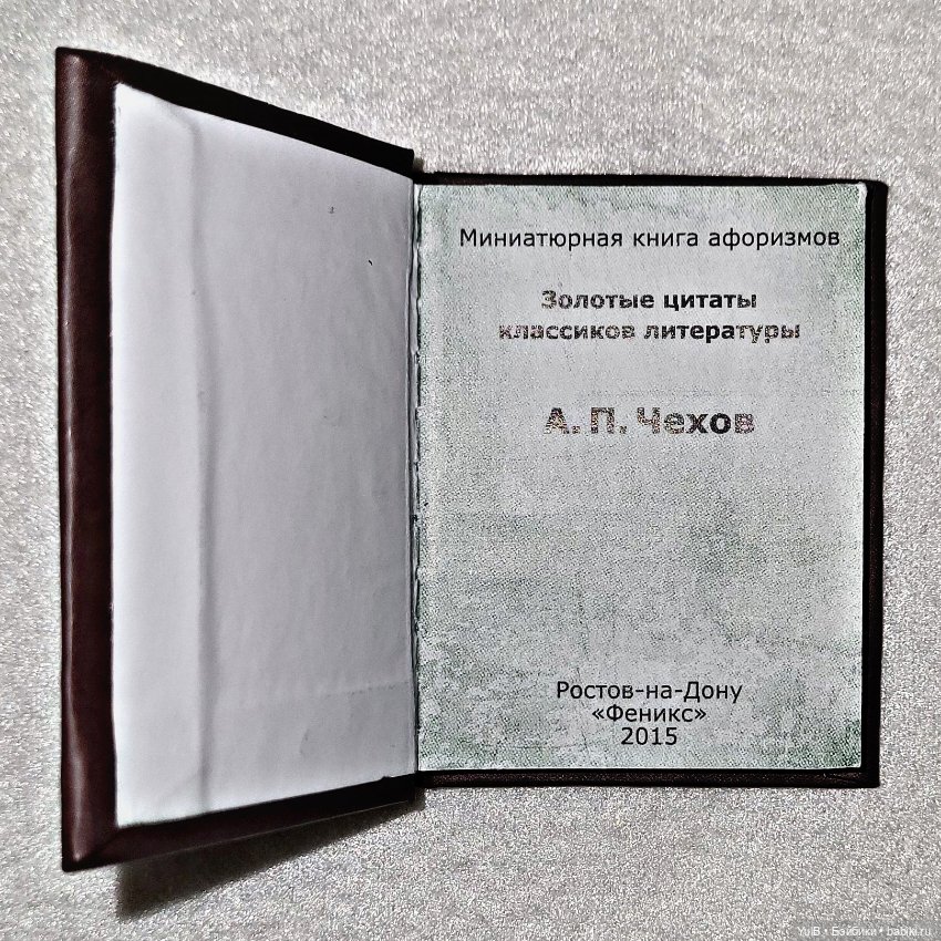 ...Антон Павлович в миниатюре (фото 2)