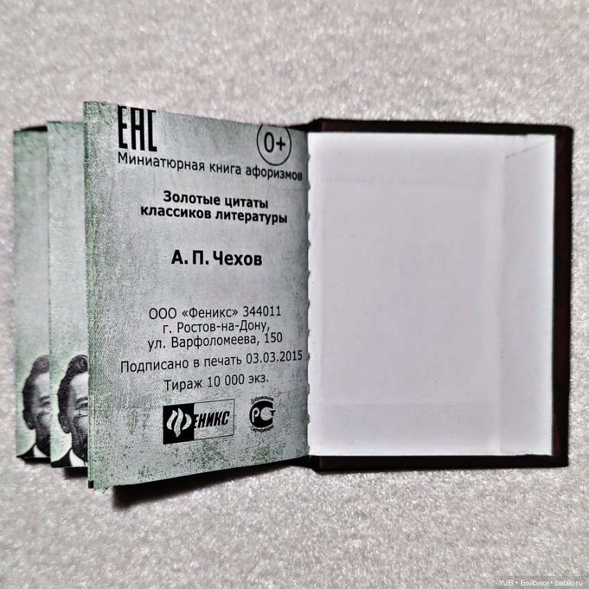 ...Антон Павлович в миниатюре (фото 10)