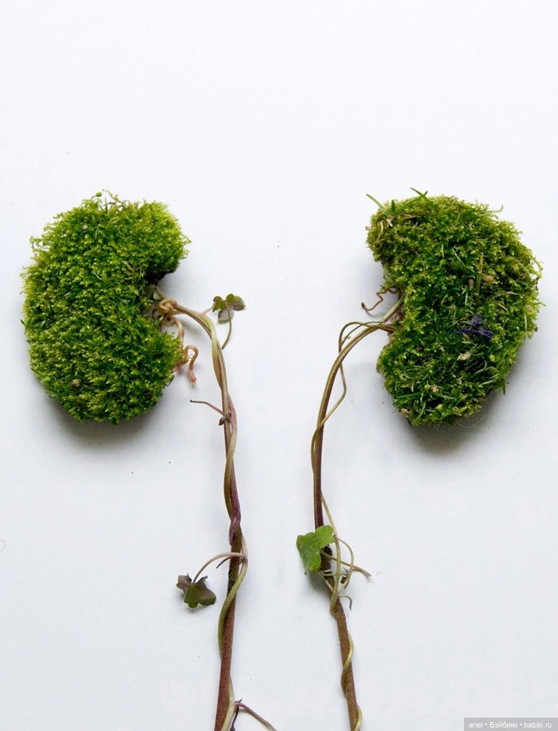 Проект Камилы Карлоу (Camila Carlow) «Eye Heart Spleen» (фото 3)