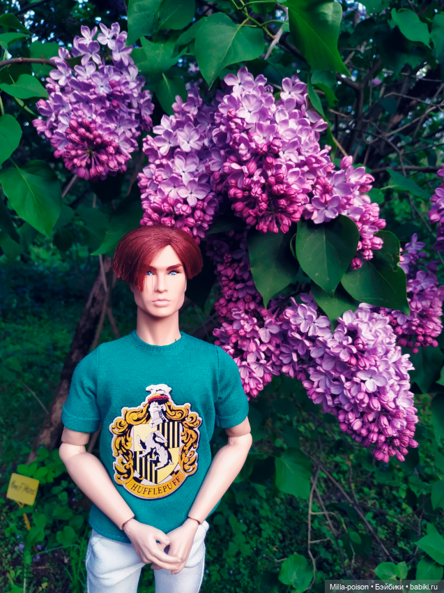 Веспасиан Хегай — Куклы Integrity Toys (Интегрити): Poppy Parker