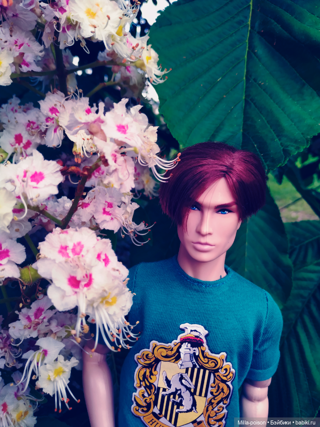 Веспасиан Хегай — Куклы Integrity Toys (Интегрити): Poppy Parker