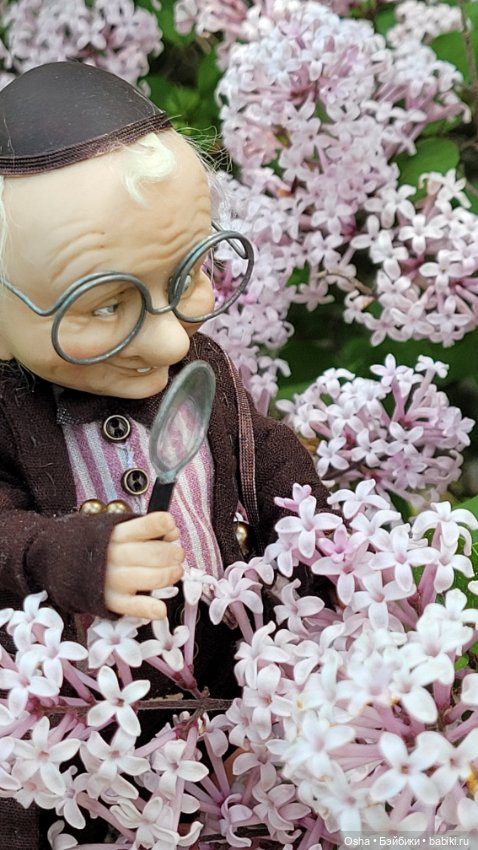 Приключения профессора Оле (фото 3)