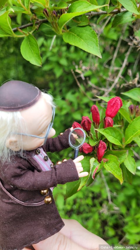 Приключения профессора Оле