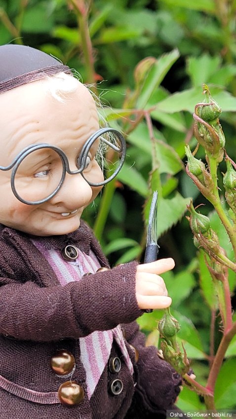 Приключения профессора Оле