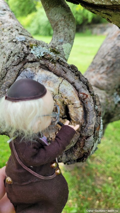 Приключения профессора Оле