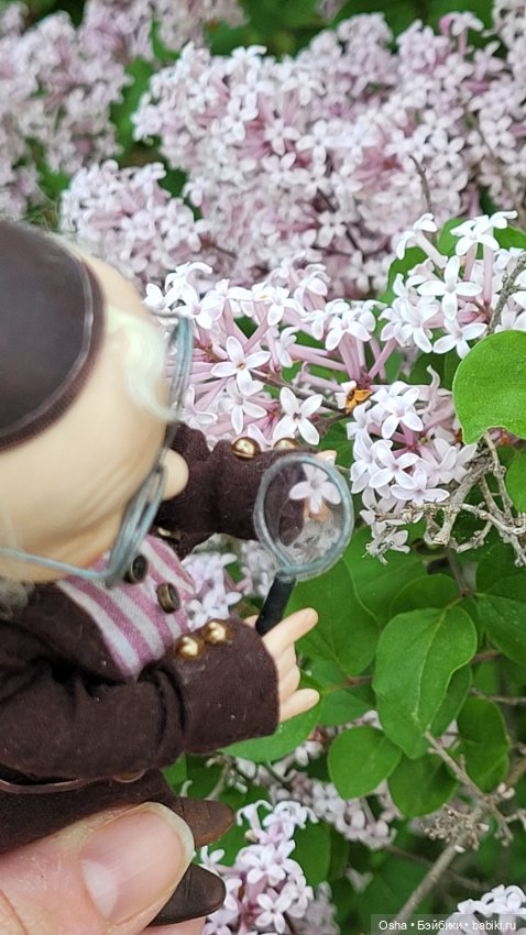 Приключения профессора Оле (фото 4)