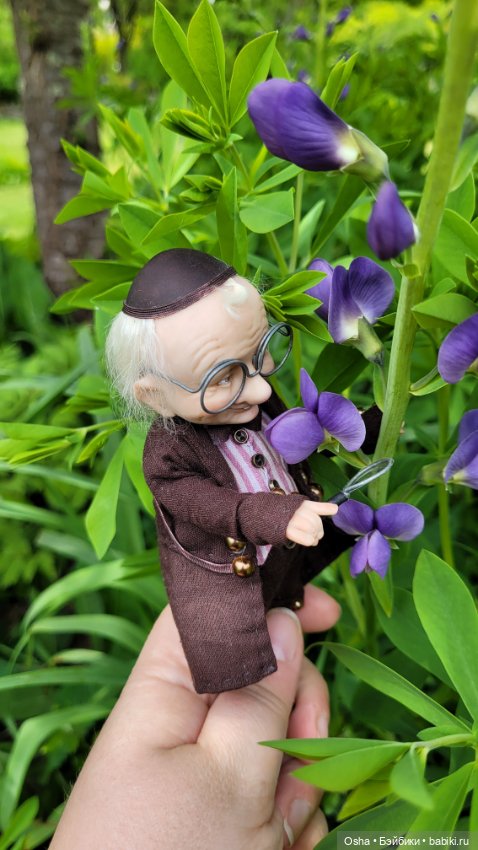 Приключения профессора Оле