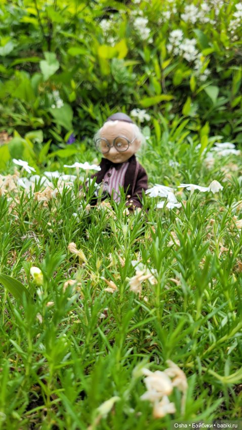 Приключения профессора Оле