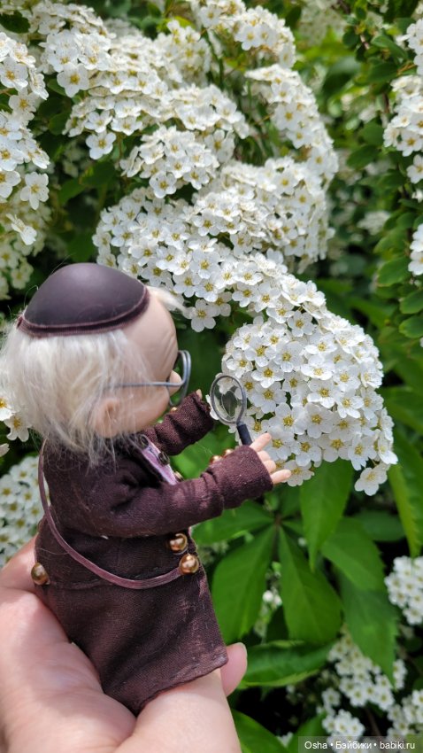 Приключения профессора Оле