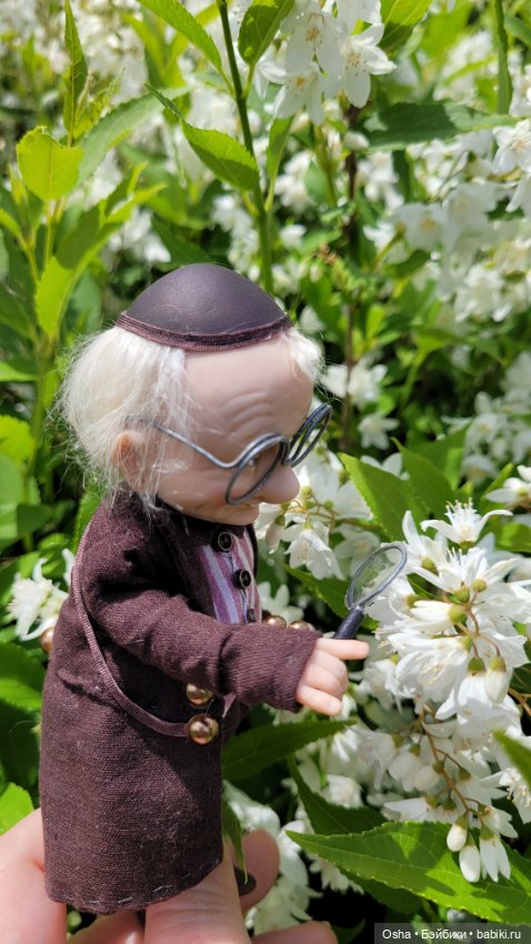 Приключения профессора Оле