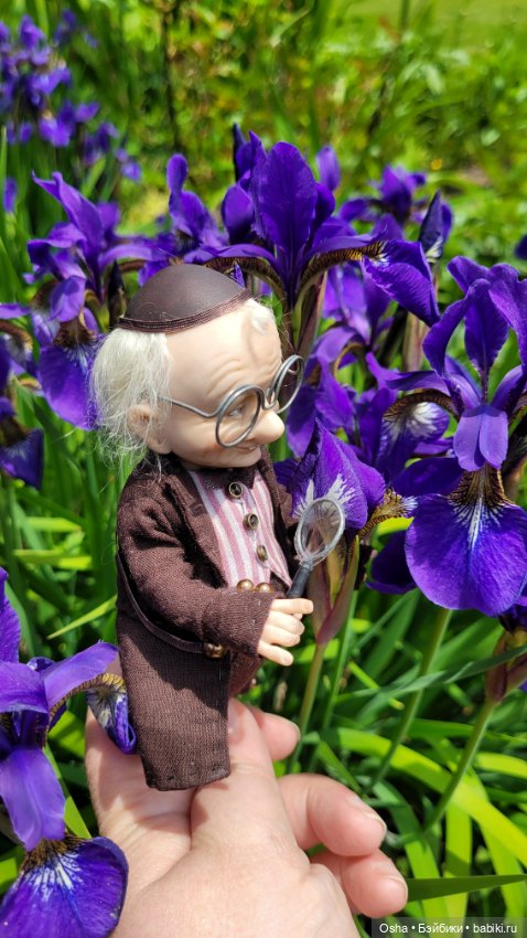 Приключения профессора Оле