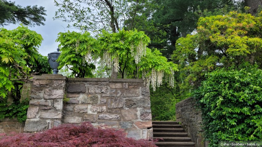 Приключения профессора Оле