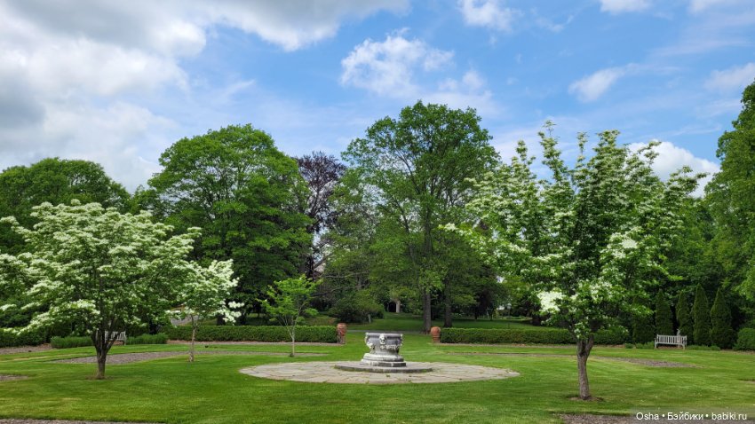 Приключения профессора Оле (фото 7)