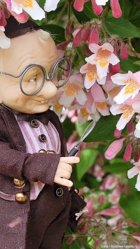 Приключения профессора Оле (фото 5)