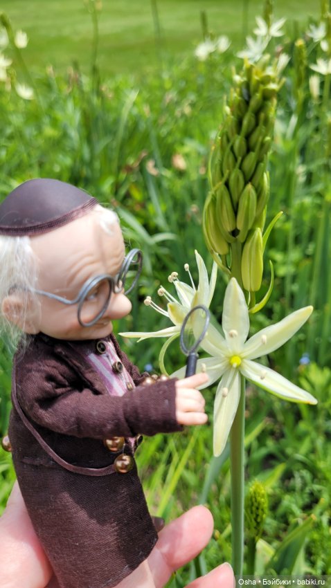 Приключения профессора Оле