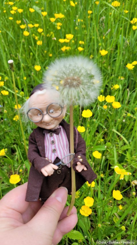 Приключения профессора Оле