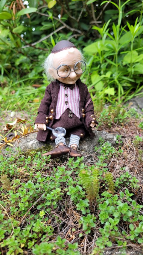 Приключения профессора Оле