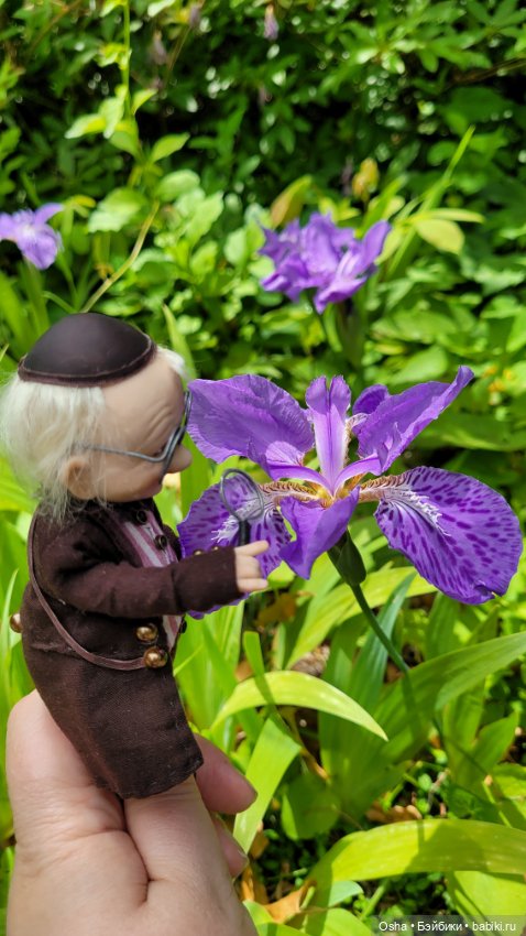 Приключения профессора Оле