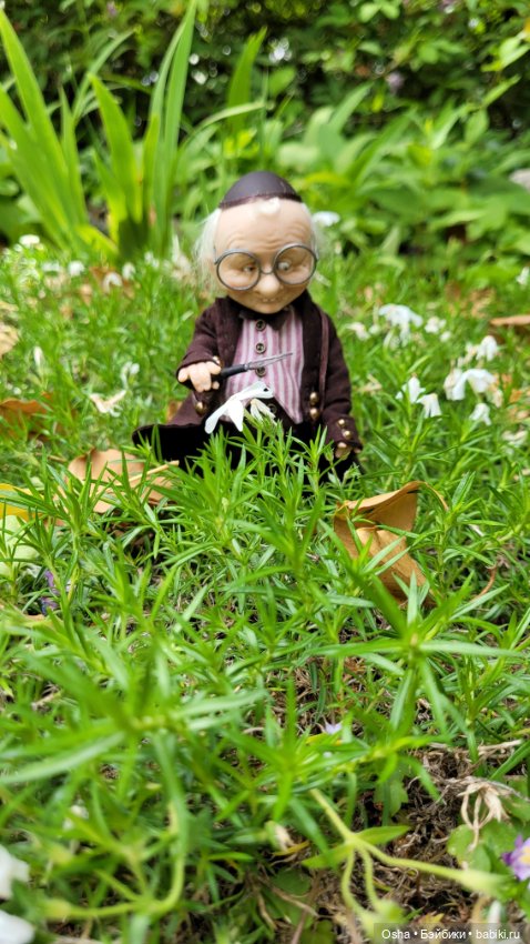 Приключения профессора Оле