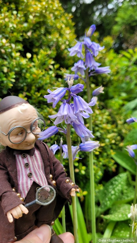 Приключения профессора Оле