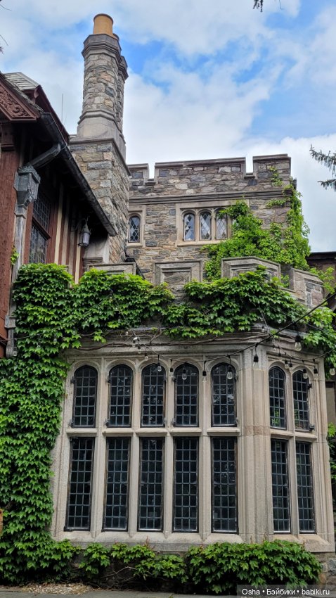 Приключения профессора Оле