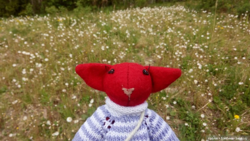 Морской (волк) кот — Текстильные игрушки и примитивы: кофейные (фото 10)