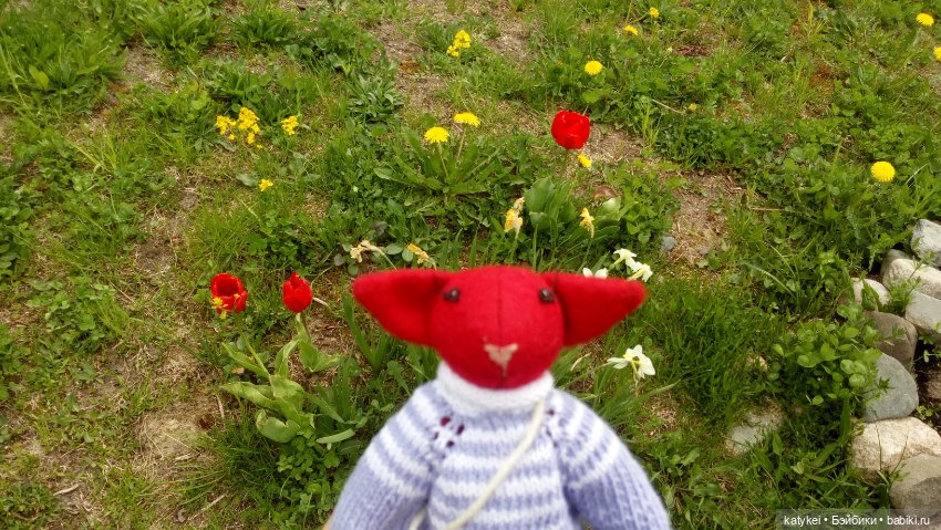 Морской (волк) кот — Текстильные игрушки и примитивы: кофейные