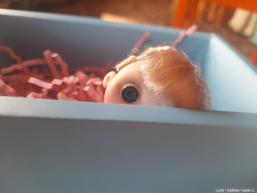 Знакомьтесь, малышка Люси