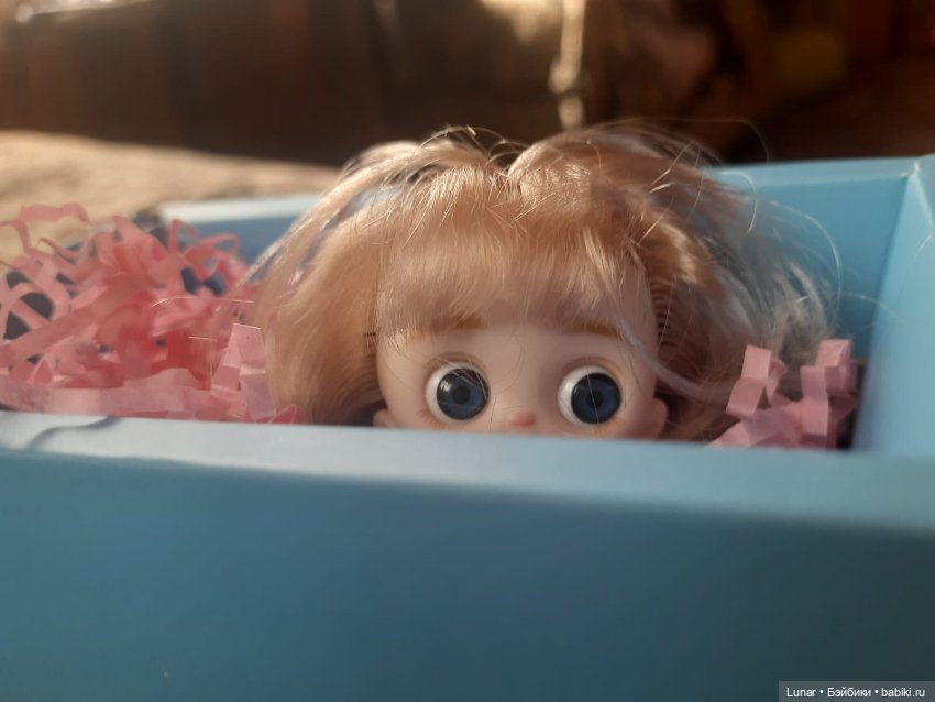 Знакомьтесь, малышка Люси (фото 2)