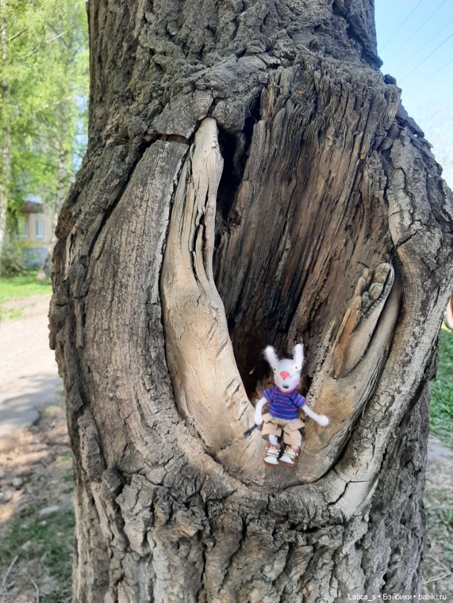 Ветерок гуляет — Вязаные игрушки и амигуруми: крючком (фото 3)