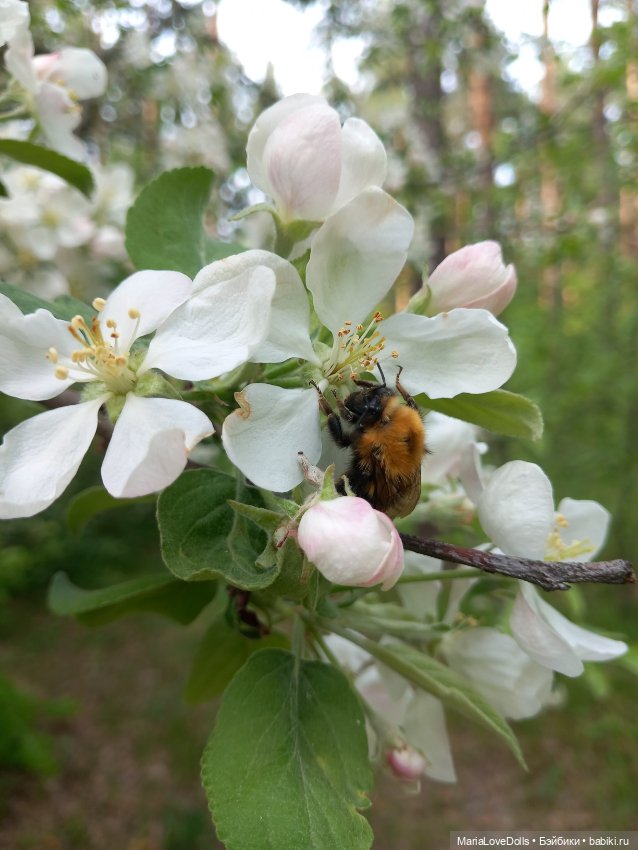 Маленькая модница — Куклы Nines d'Onil (Нинес): Миа (Mia) (фото 6)