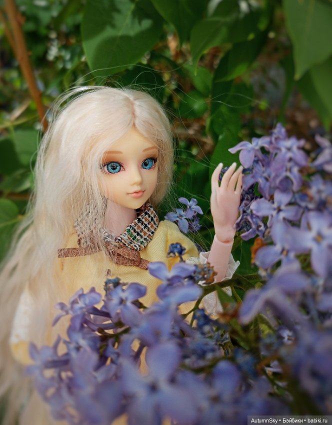 Новенькая J-Doll — Куклы J